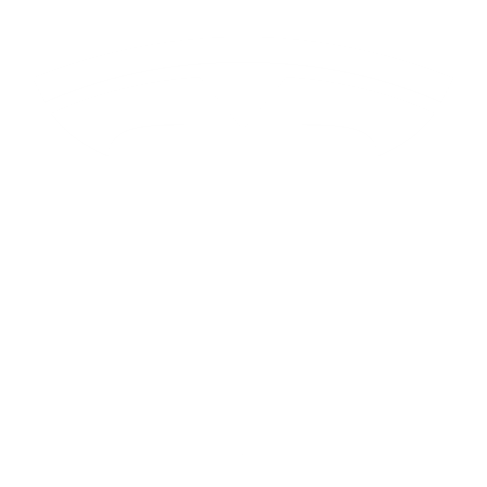 tesla item logo white